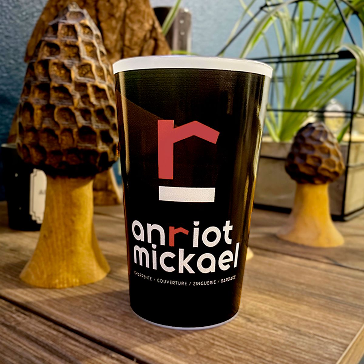 anriot carre