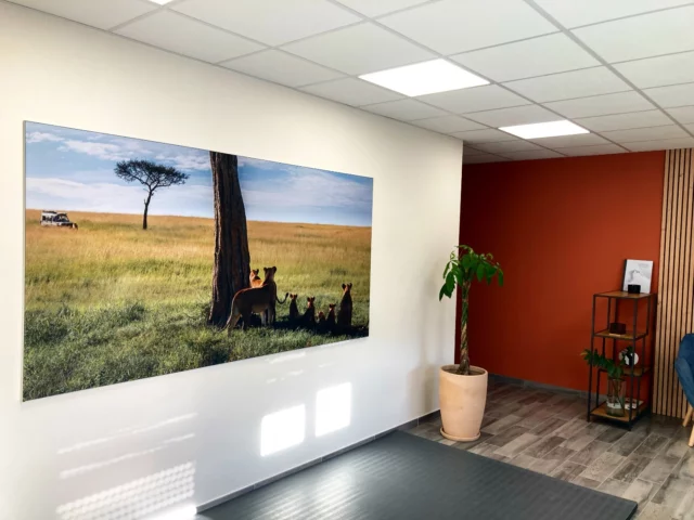 2,5m de toile ? Pas de problème ! 
Demande insolite pour cette salle chez Dynamique Santé aux Fins ! 
Toile textile sur cadre alu dispo en isolation phonique ou rétroéclairage 🔦
Merci Julien et bravo @jonathan_wosinski pour cette sublime photo 😍

Besoin d’une toile ou d’un cadre ? Demandez-nous !