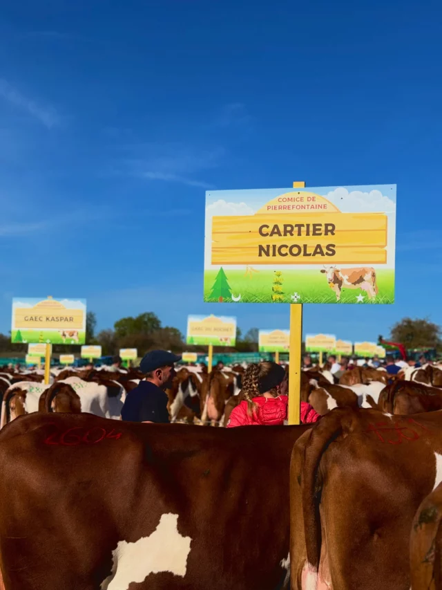 🐮 Livraison de panneaux dibond 🪧 personnalisés pour le Comice de Pierrefontaine les Varans 🐄 

Besoin de personnalisation sur vos événements ? 
👨‍💻 Site web, 🎨 graphisme, 🪧 signalétique, 🏳️ drapeaux, 👕 vêtements, 🎟️ bâches, 🥤gobelets et plus encore 🎪

👉 www.cervolant.fr 🦌

#comicepierrefontainelesvarans #evenementdoubs #communicationdoubs #pierrefontainelesvarans #comiceagricoledoubs comicedoubs